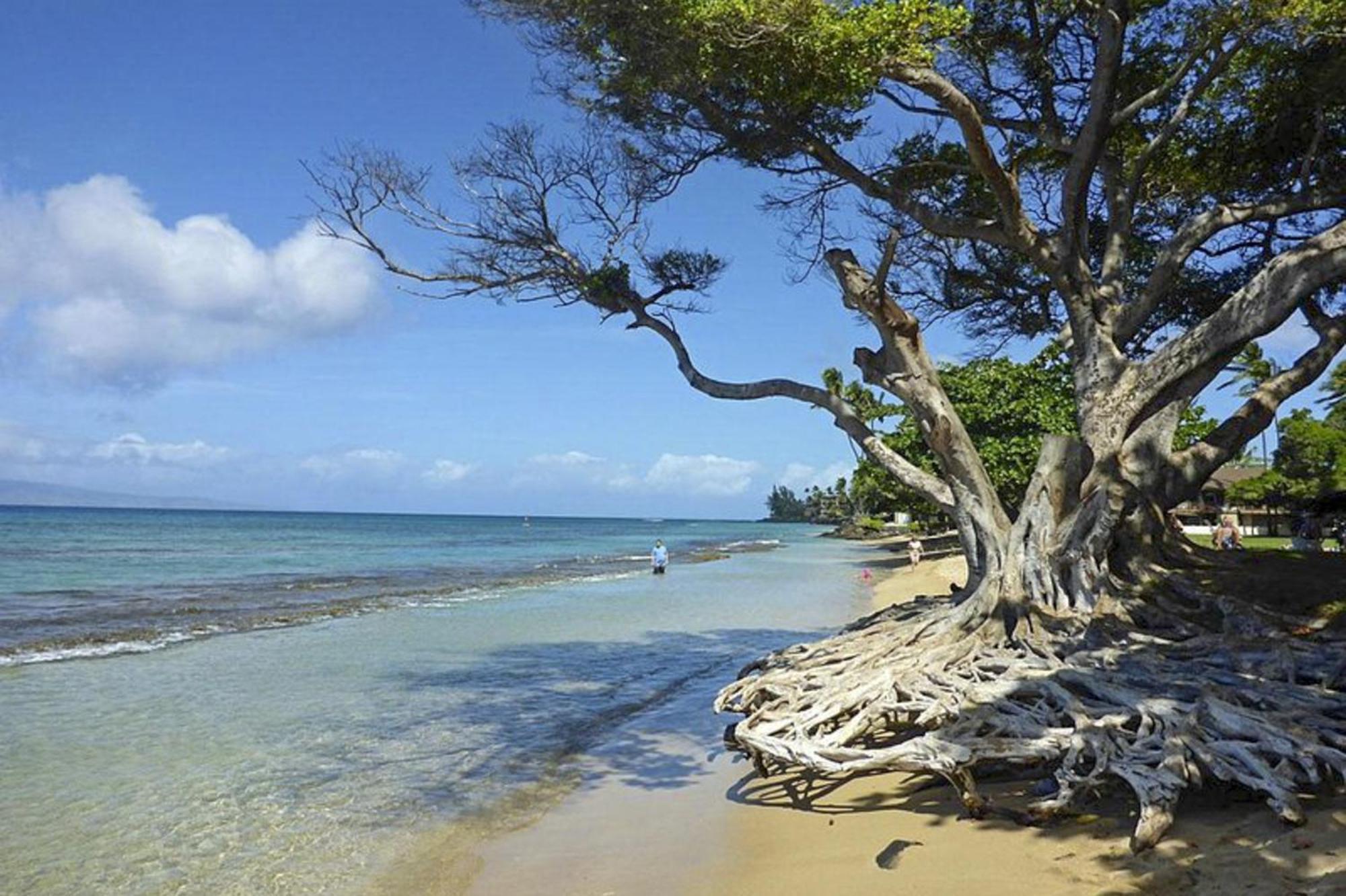 Polynesian Shores 118 Кахана Экстерьер фото